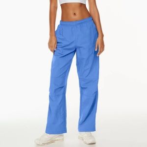 Aritzia Sawyer Pants (Nylon pants)